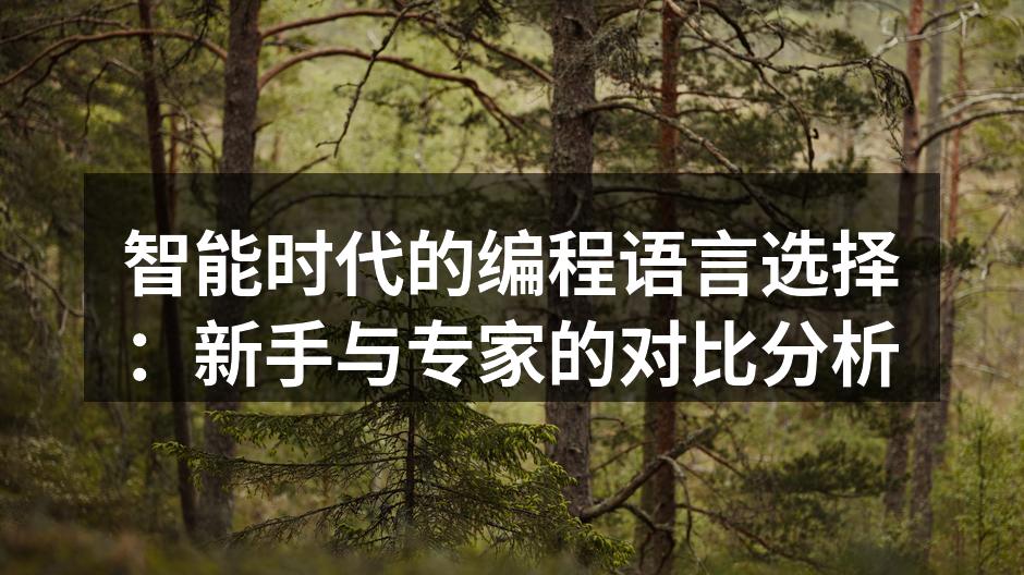 编程语言的多样性